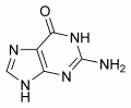 Guanine chemical structure.png