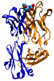 Mouse-cholera-antibody-1f4x.png