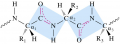 Peptide-bond-planes-n-rotation.png